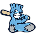 Blue Sox Team Pass